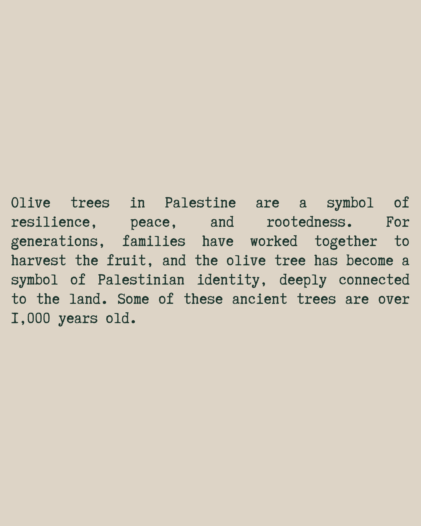 Olive Tree T-Shirt close-up text — Beige