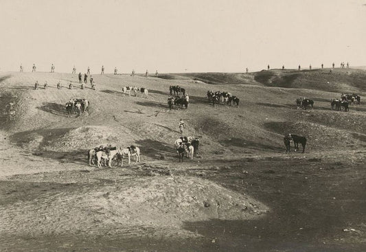 Historical view of Beersheba (Bir al-Sabi), the Negev gateway city of Palestine