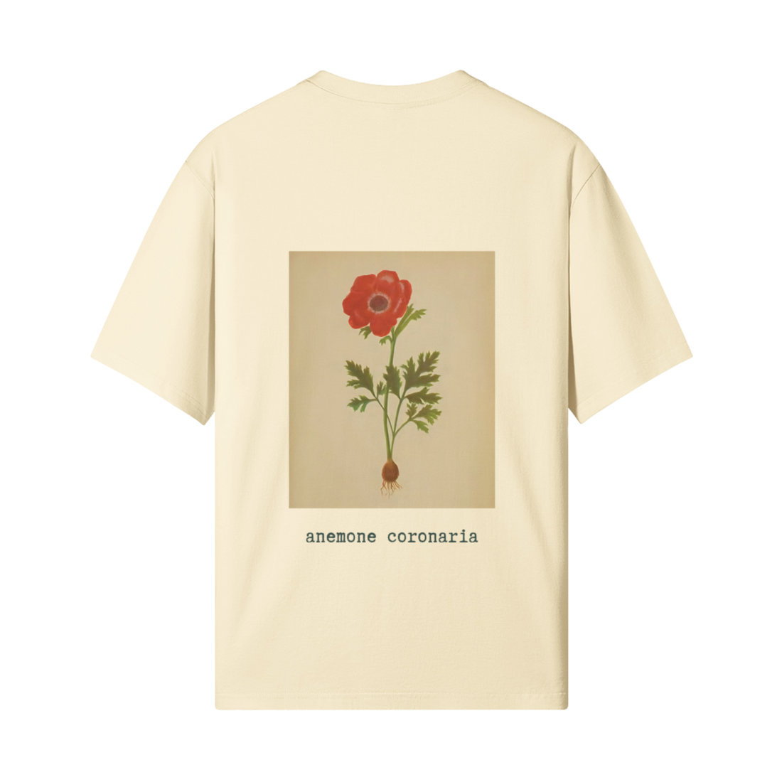 Shirt for Palestine featuring the Palestinian poppy flower from the 1876 botanical survey, FALASTIN
