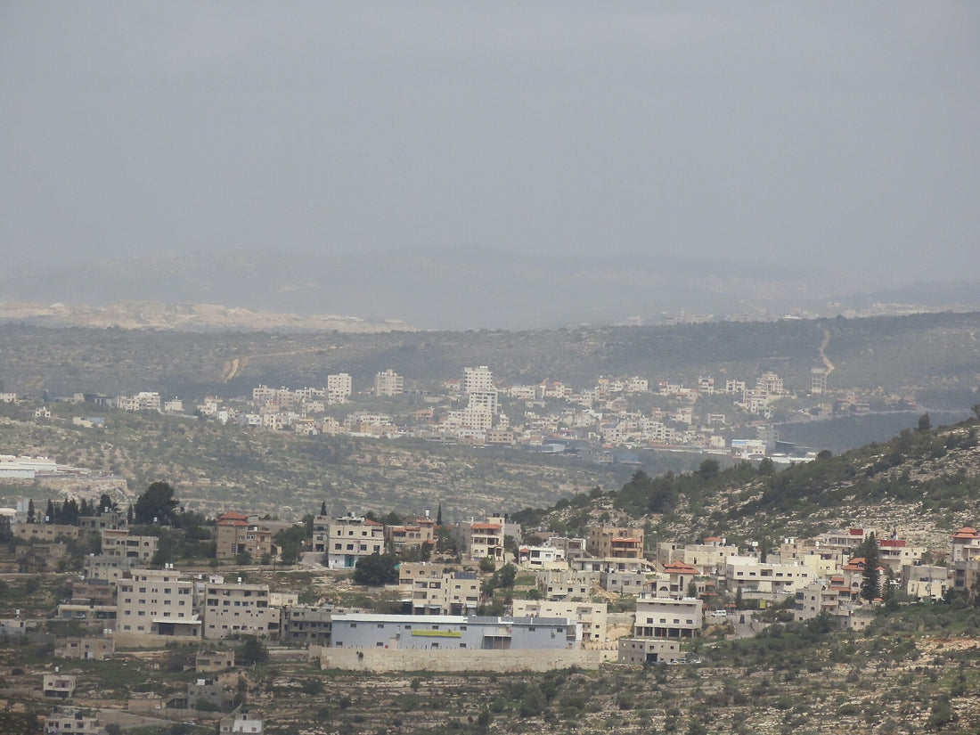 A modern view of Salfit, Palestine, its stone houses spread across the central West Bank hills with olive terraces in the foreground
