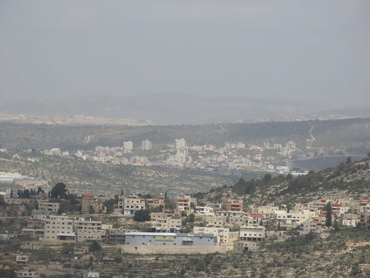 A modern view of Salfit, Palestine, its stone houses spread across the central West Bank hills with olive terraces in the foreground