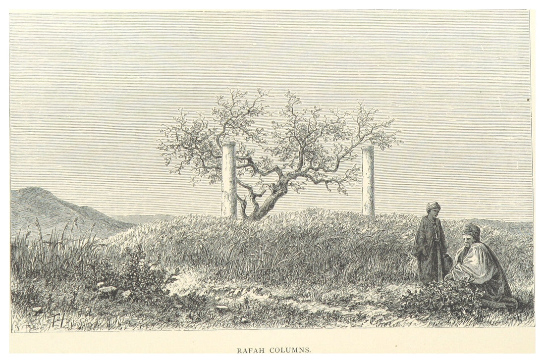 Two ancient stone columns standing in a field at Rafah, Palestine, an 1881 engraving titled Rafah Columns