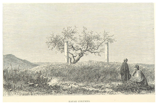 Two ancient stone columns standing in a field at Rafah, Palestine, an 1881 engraving titled Rafah Columns