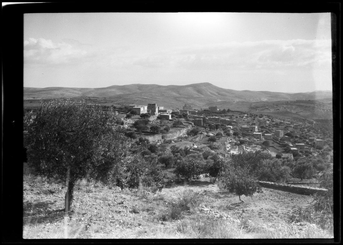 A hillside view of Beit Sahour, Palestine, surrounded by olive terraces, photographed in the early twentieth century