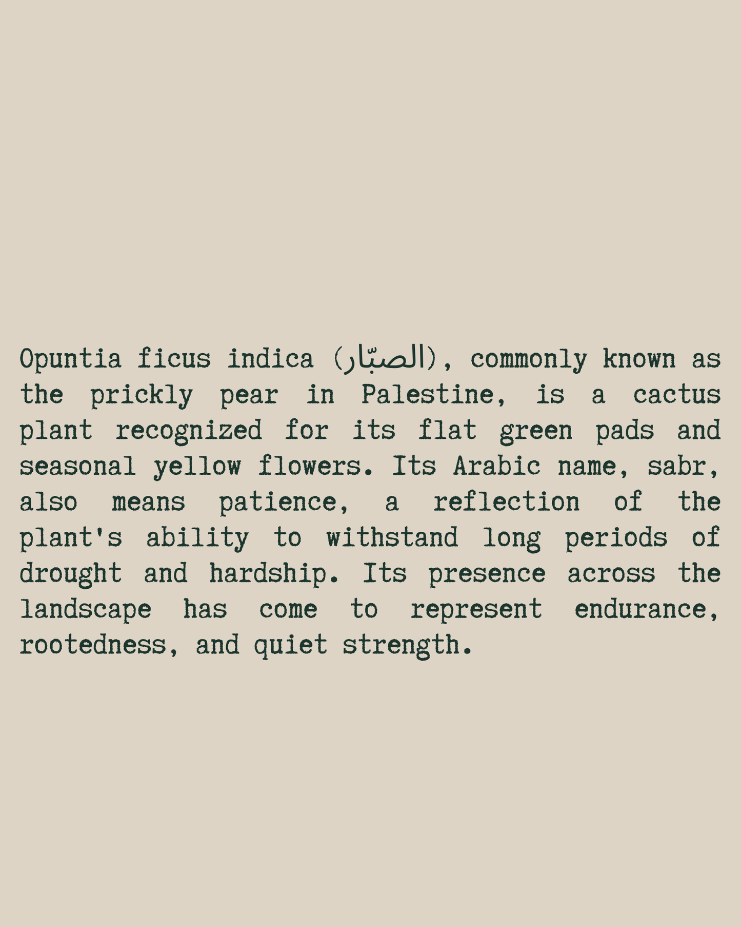 Cactus Flower T-Shirt close-up text — Beige