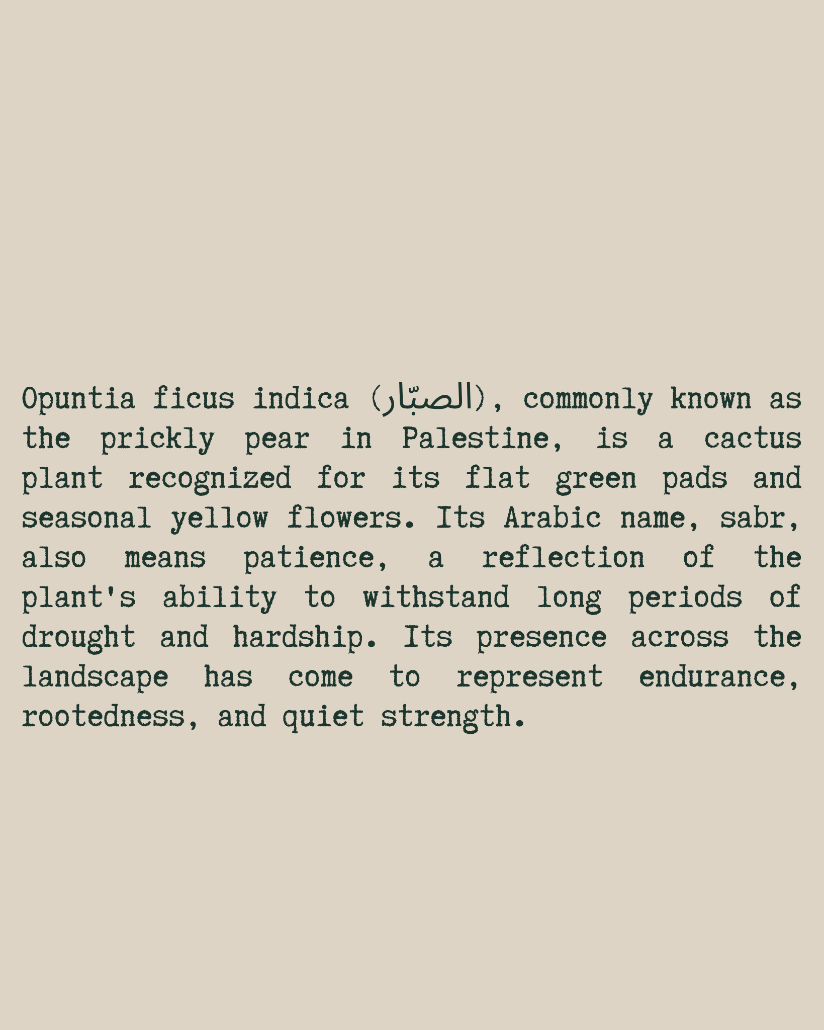 Cactus Flower T-Shirt close-up text — Beige