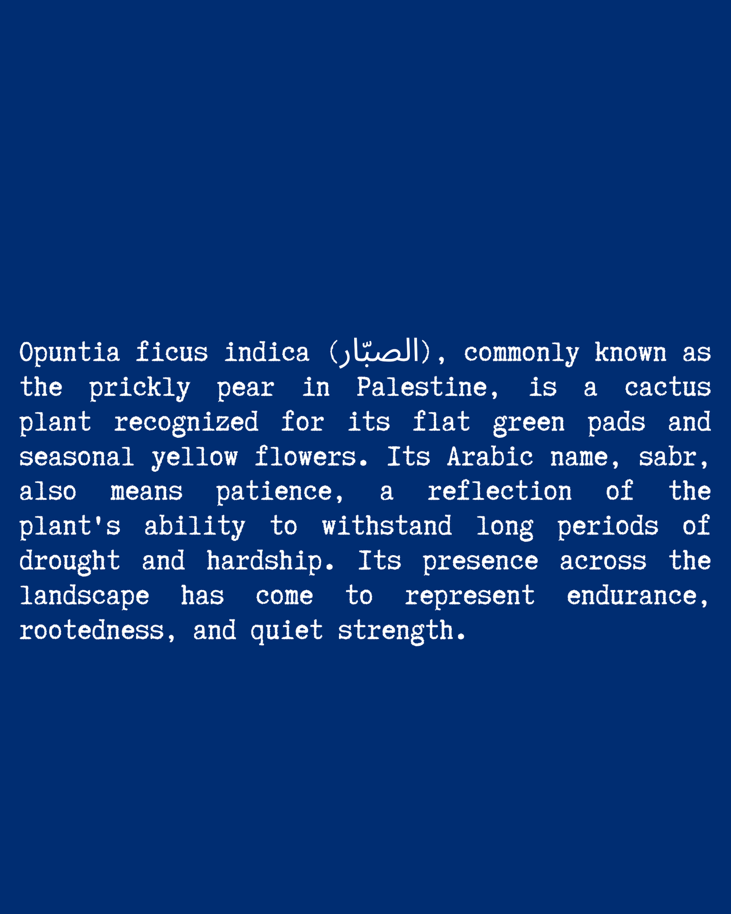 Cactus Flower T-Shirt close-up text — Blue