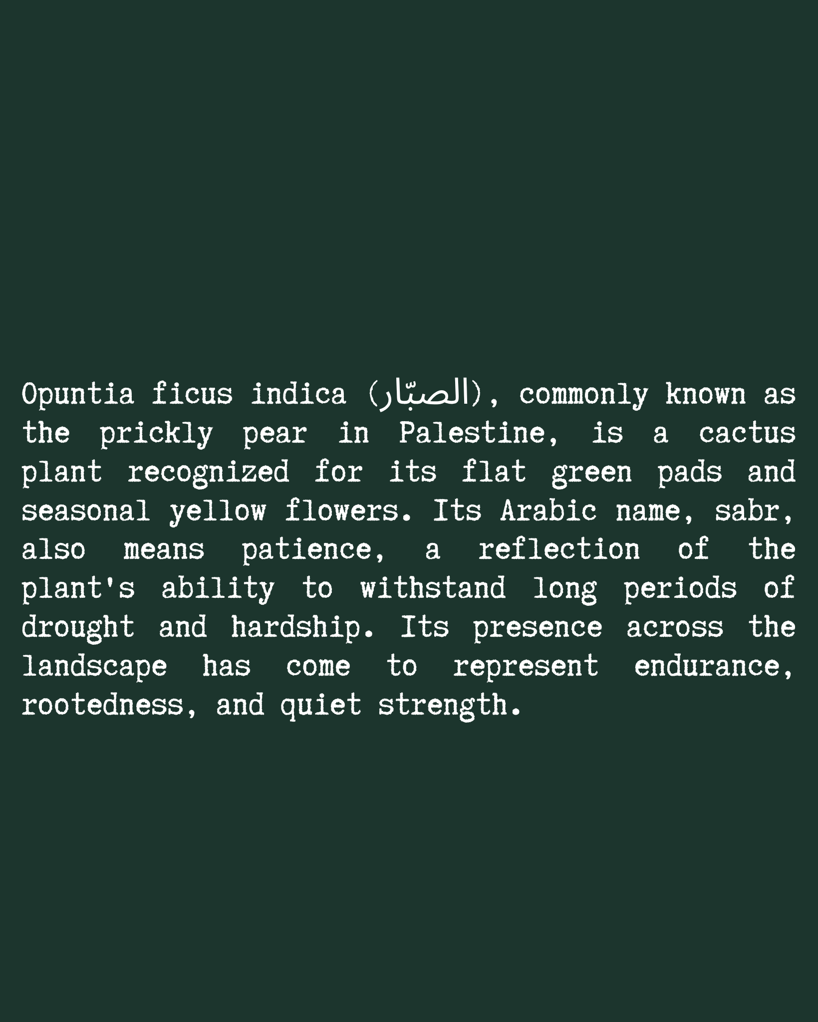 Cactus Flower T-Shirt close-up text — Green