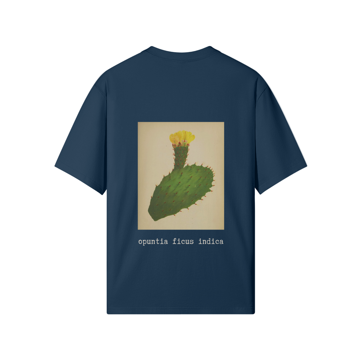 Back view of blue Cactus Flower T-Shirt featuring Palestinian historical botanical illustration of Opuntia ficus-indica (الصبّار) - the sabr cactus