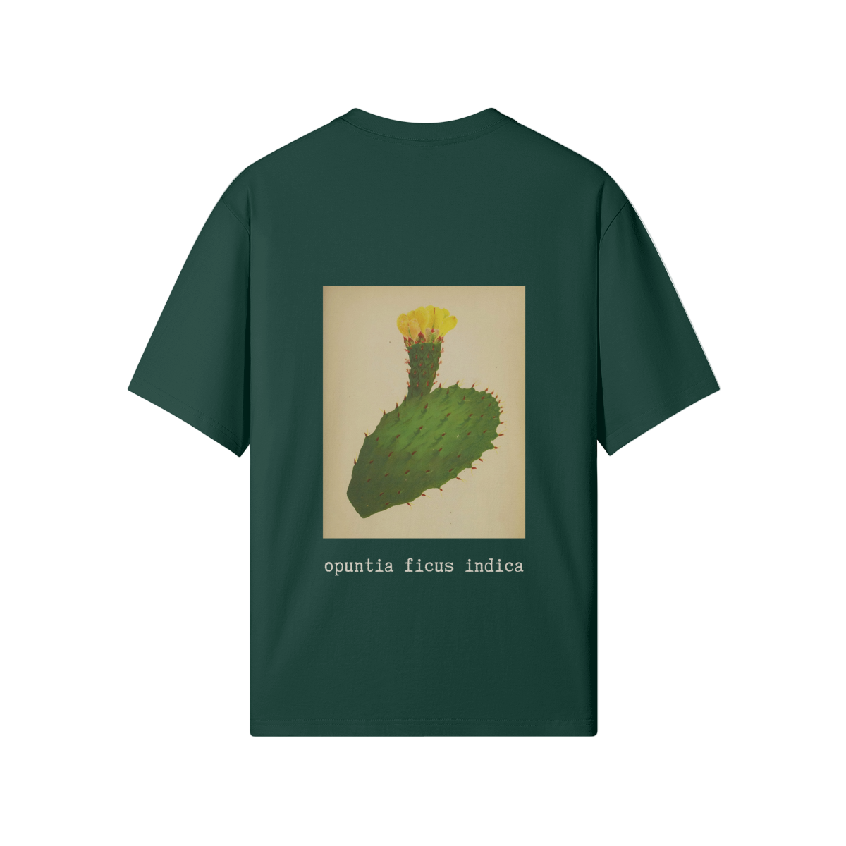 Back view of green Cactus Flower T-Shirt featuring Palestinian historical botanical illustration of Opuntia ficus-indica (الصبّار) - the sabr cactus