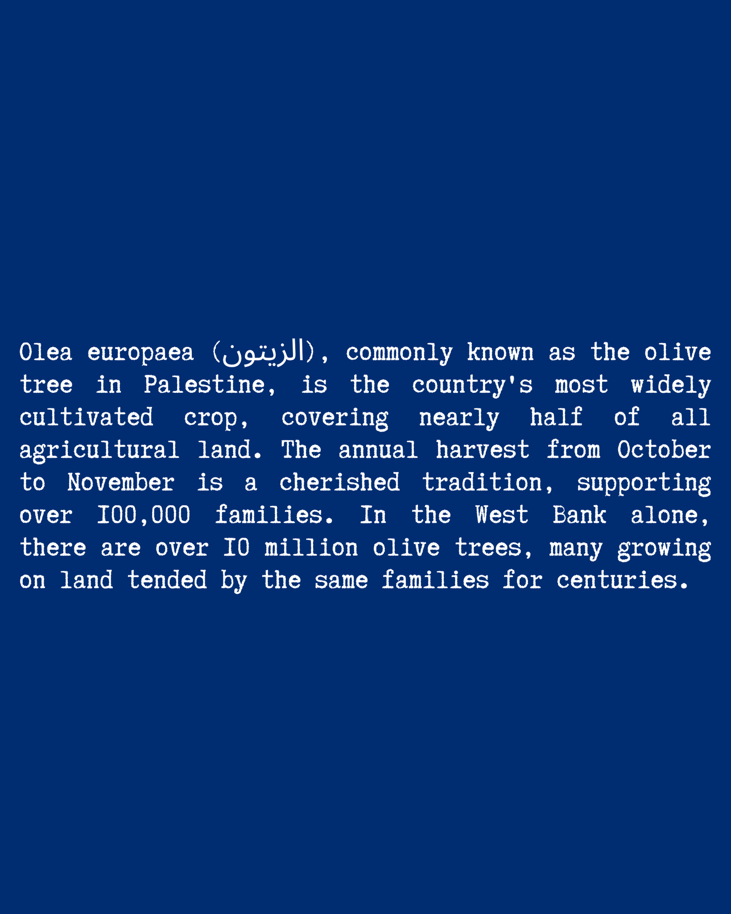Olive Flower T-Shirt close-up text — Blue