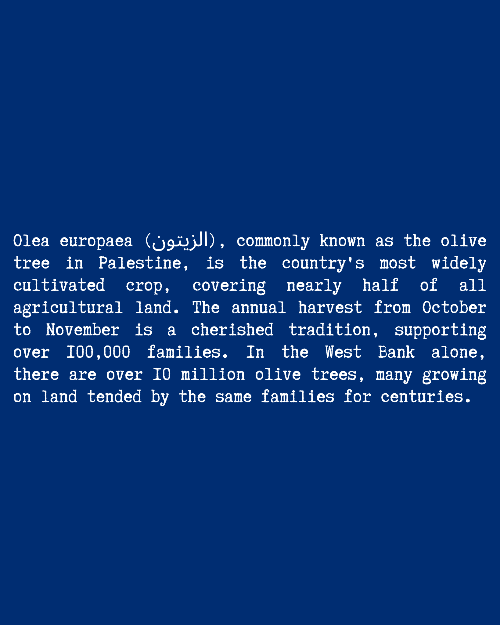 Olive Flower T-Shirt close-up text — Blue
