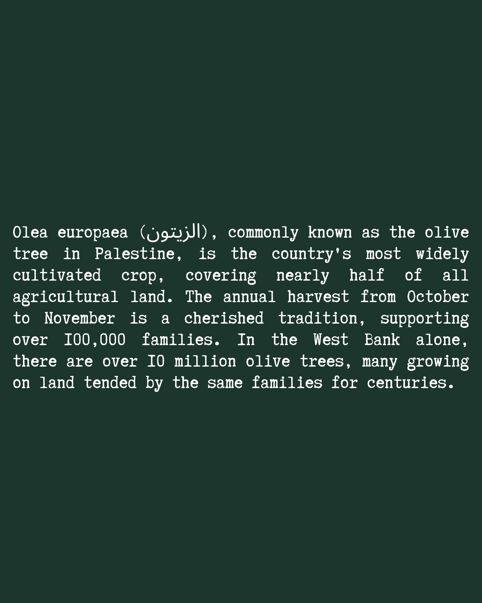 Olive Flower T-Shirt close-up text — Green