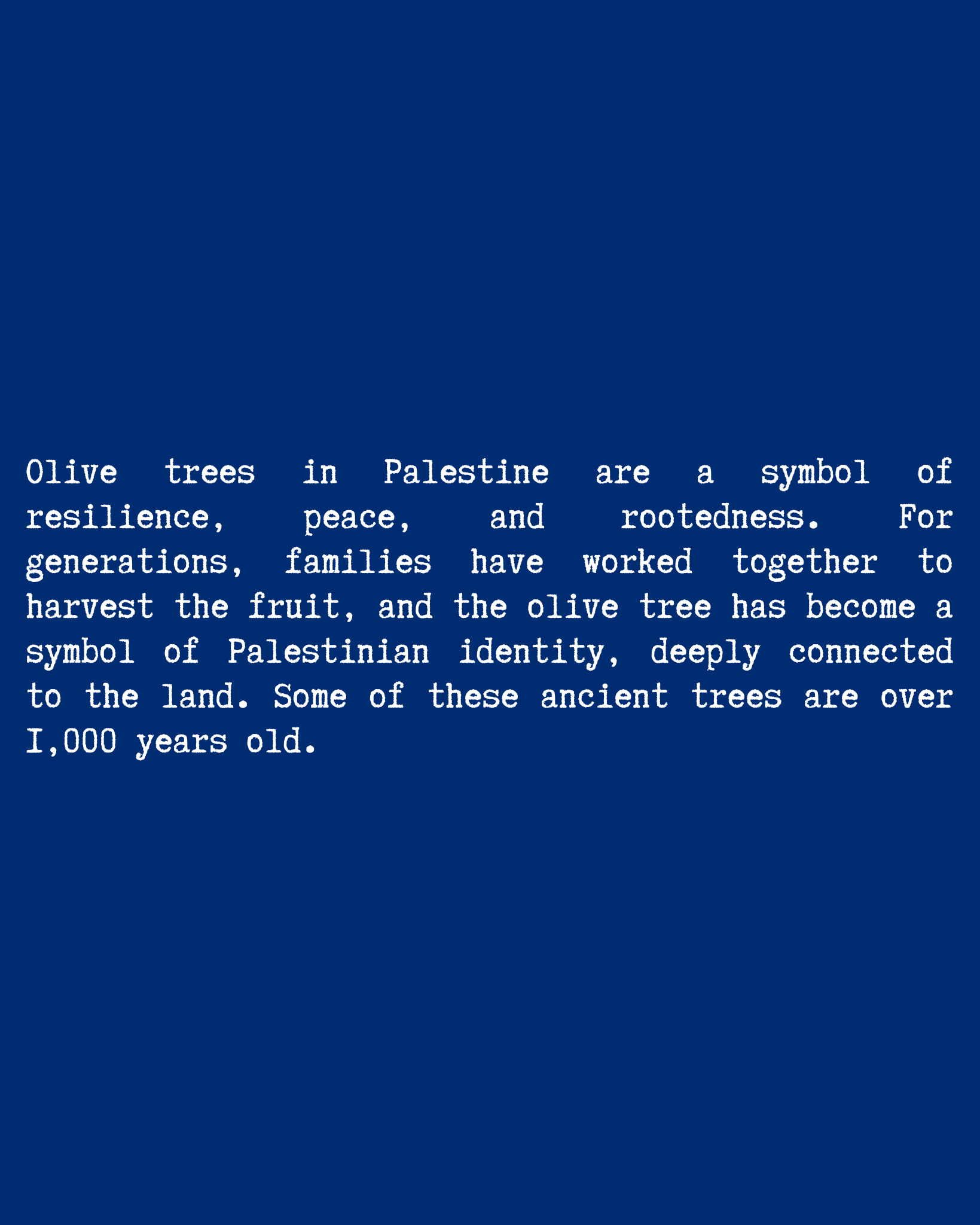 Olive Tree T-Shirt close-up text — Blue