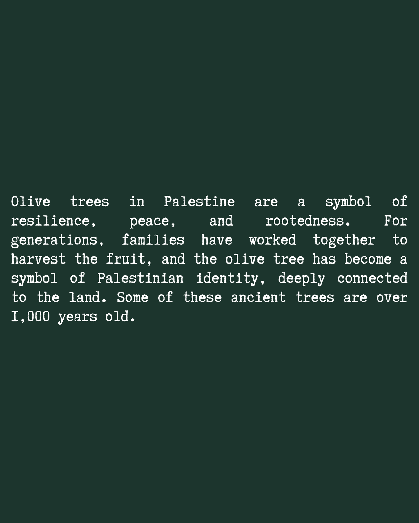Olive Tree T-Shirt close-up text — Green