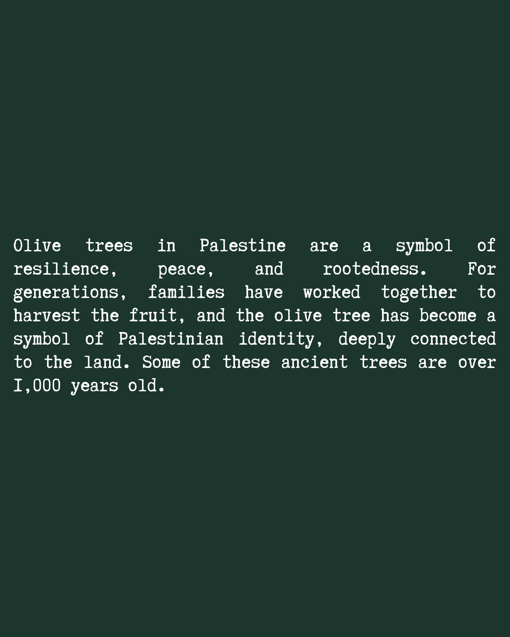 Olive Tree T-Shirt close-up text — Green