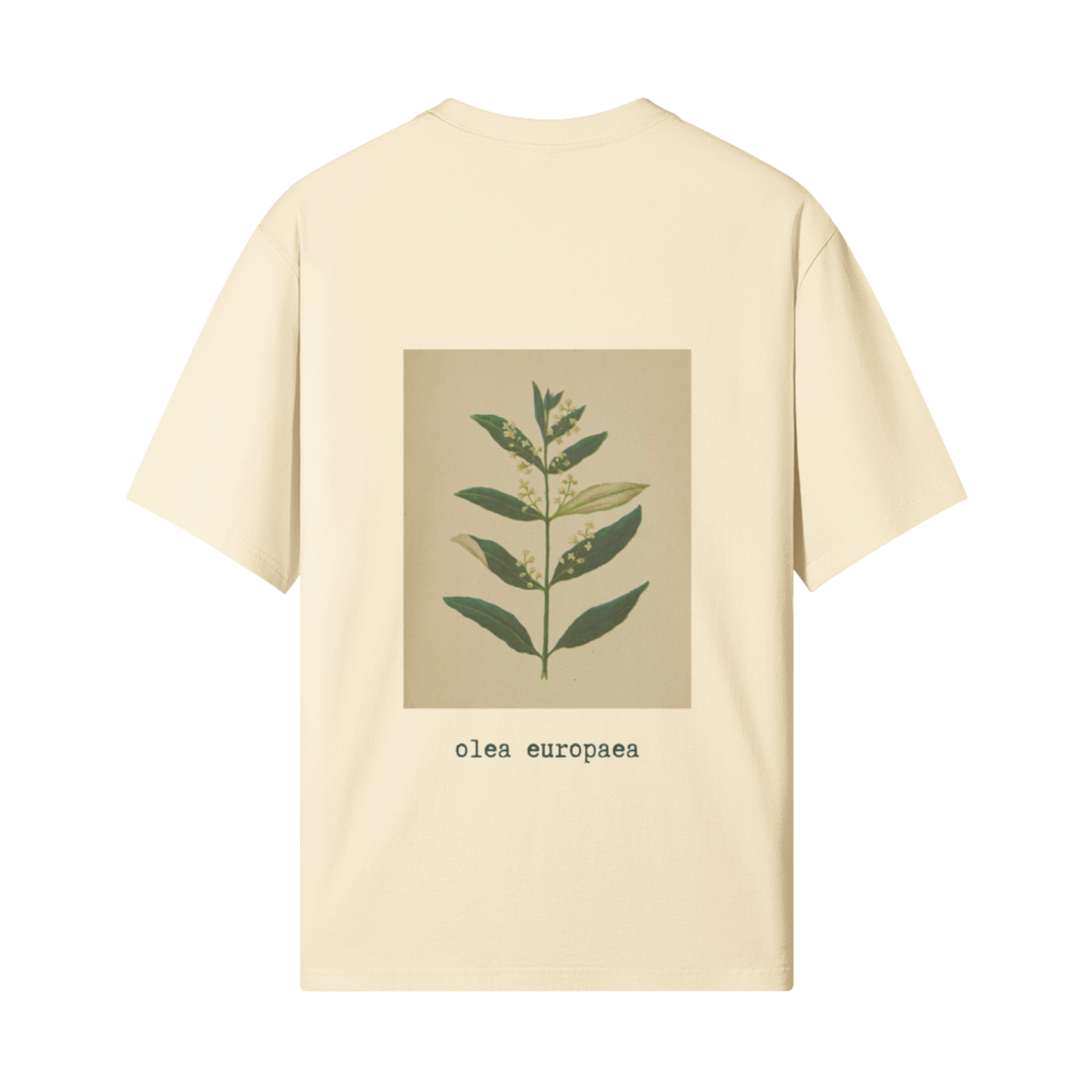 Olive Flower T-Shirt in Beige