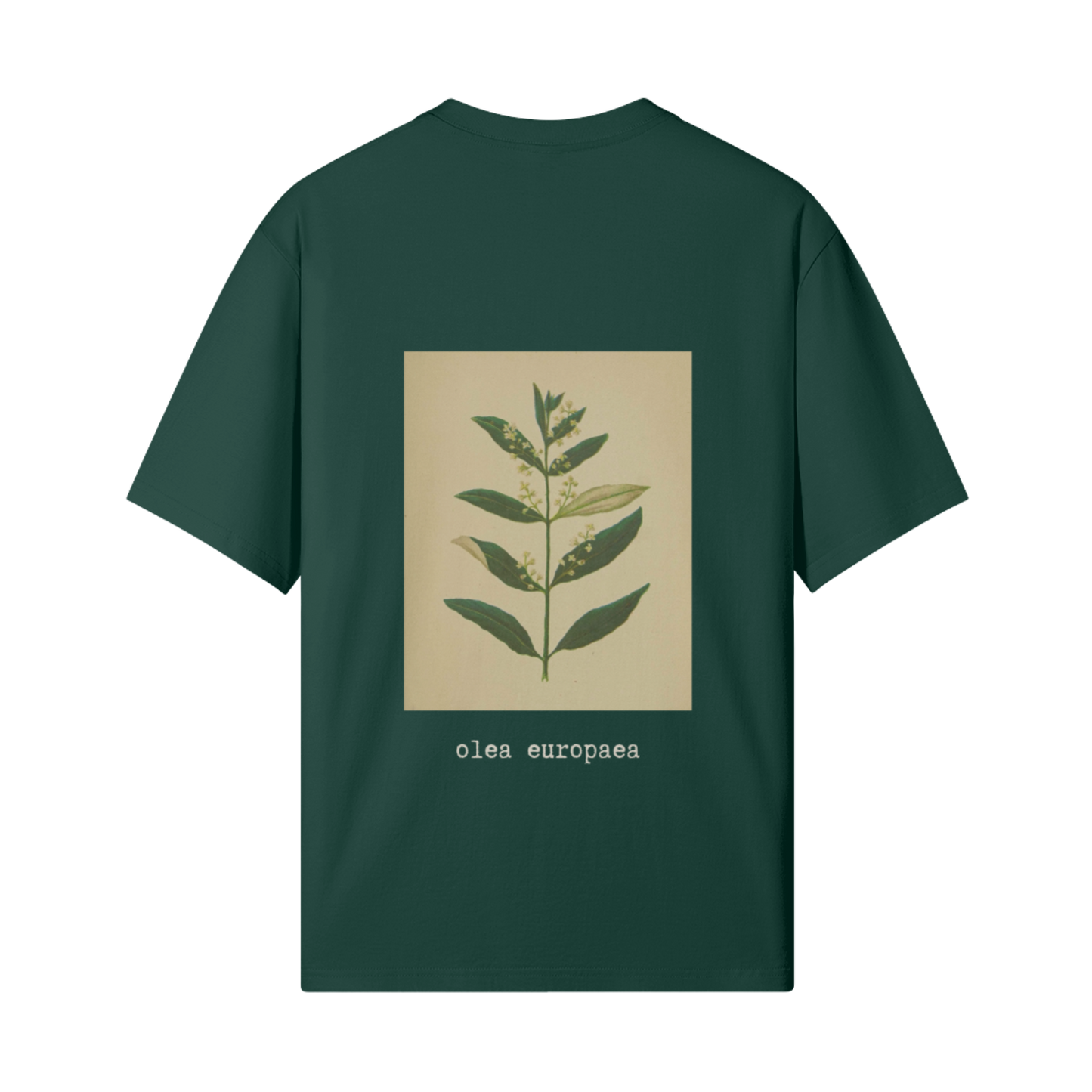 Olive Flower T-Shirt in Green