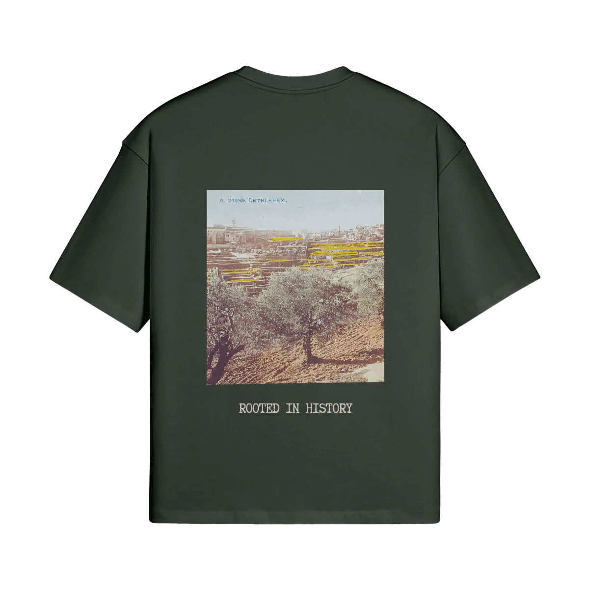 A mockup image of the Heritage Olive Tree T-Shirt in forest from FALASTIN, showcasing the back design featuring a vibrant illustration of a Palestinian olive tree and the words ‘Rooted in History.’ The design is displayed on a transparent background, emphasizing the deep forest green color of the t-shirt and its connection to Palestinian heritage.