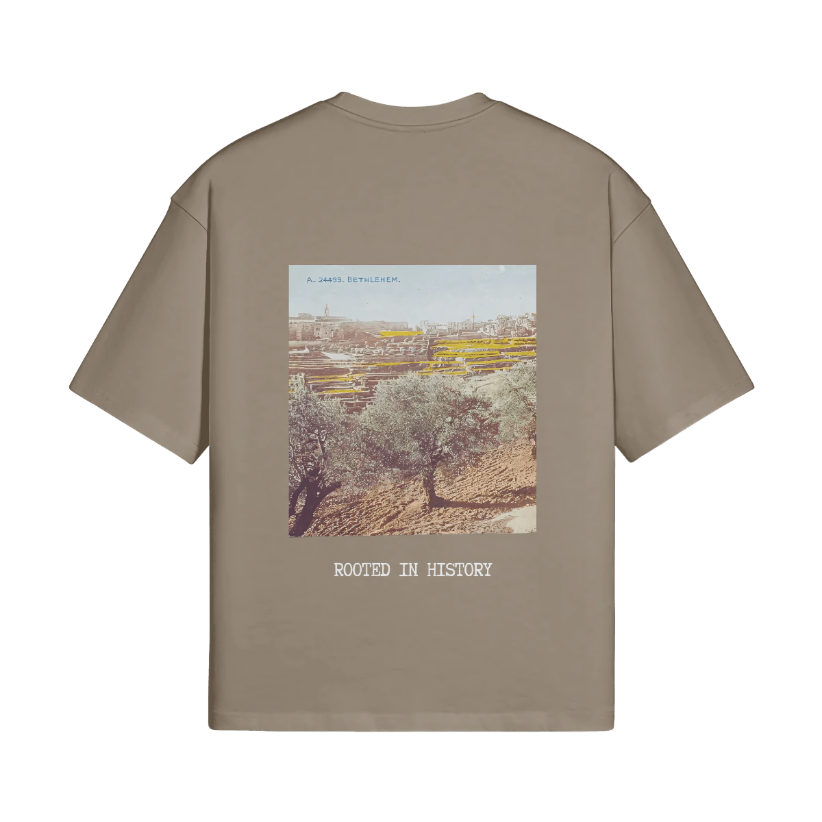 A mockup image of the Heritage Olive Tree T-Shirt from FALASTIN in Coffee
, showcasing the back design featuring a vibrant illustration of a Palestinian olive tree with the words ‘Rooted in History.’ The image is set against a transparent background to highlight the details of the design.